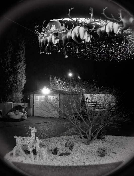 Santa & His Reindeer