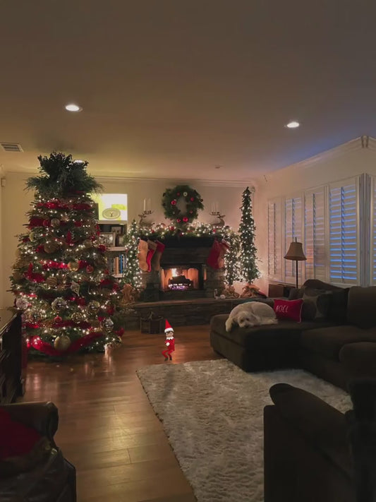 Elf’s in the House